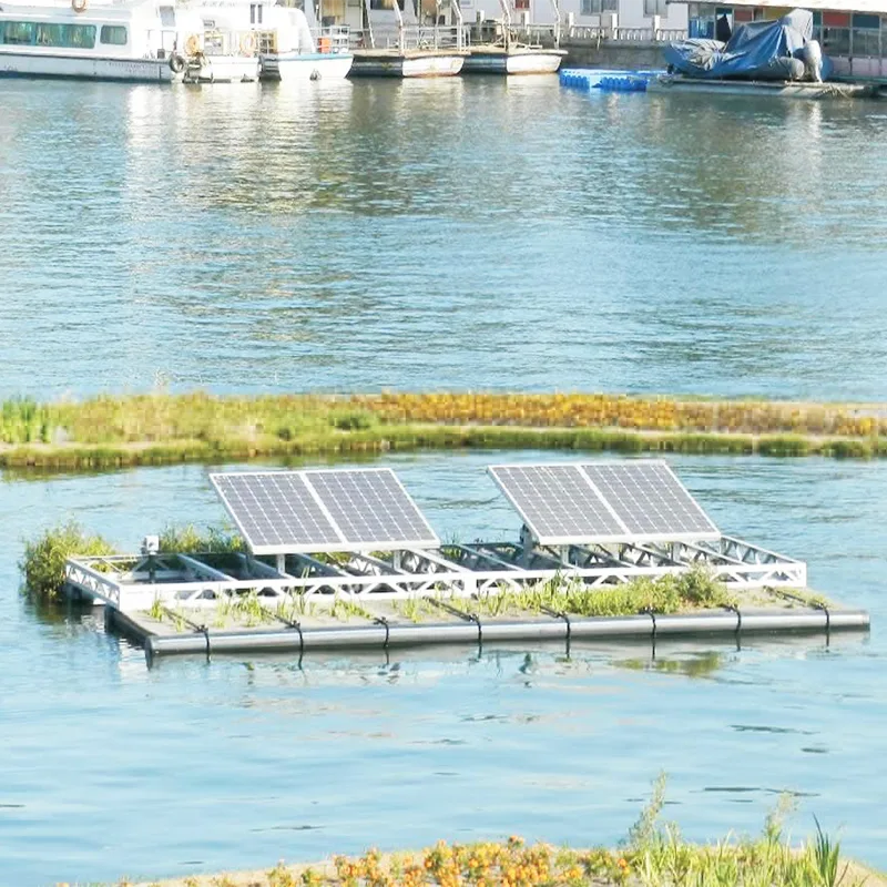 Проект за управление на реката